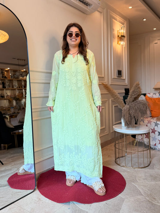 Hand Embroidered 3DChikankari Kurta  | Viscose | Pista Green