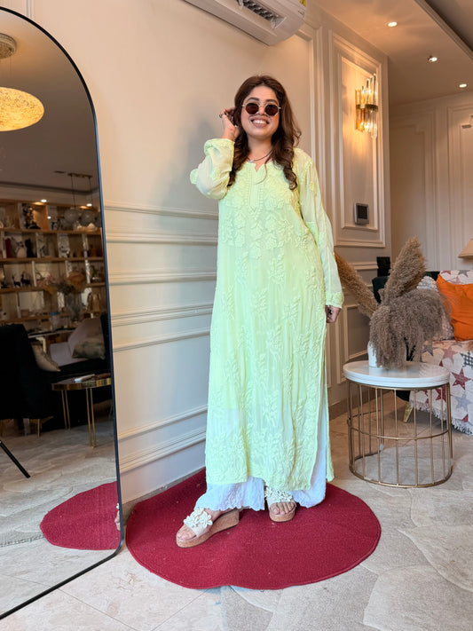 Hand Embroidered 3DChikankari Kurta  | Viscose | Pista Green